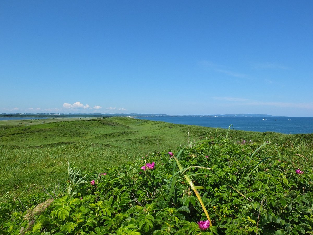 🌸 아바시리 국정공원 고시미즈 원생화원 (아바시리 코쿠테이코엔 코시미즈 겐세이카엔) 이미지 8